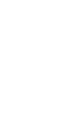 SVIS